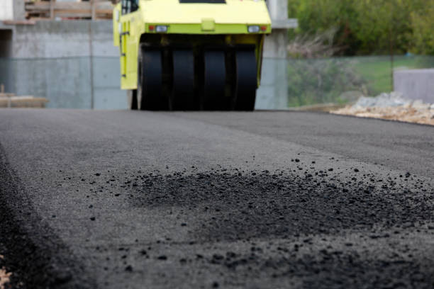 Best Professional Driveway Pavers  in Lake Dalecarlia, IN